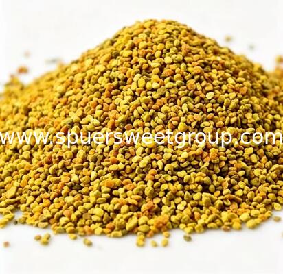 Wholesale Top Quality 100% Pure Natural Raw Rape Bee Pollen Granules Food Grade Bulk for Dietary Supplements