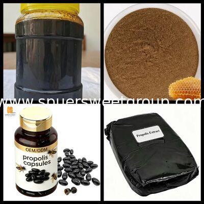 Wholesale 98% Pure Natural Raw Propolis Extract Block Water Alcohol Soluble High Flavonoids Food Grade Bulk for Immunity