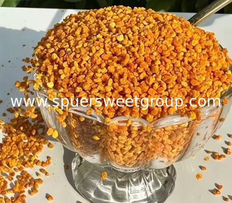 Wholesale 100% Pure Natural Mixed Bee Pollen Powder Organic Food Grade Sunflower Buckwheat Camellia Bulk for Health Supplement
