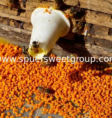 Wholesale Top Quality 100% Pure Natural Fresh Tea Bee Pollen Granules Food Grade HALAL Bulk Factory Supply for Health Supplement