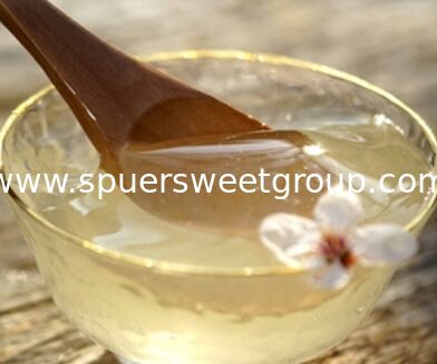 Wholesale Premium 100% Pure Natural Raw Acacia Honey EU Standard Food Grade Export 500g Bottle Mild Flavor Daily Wellness