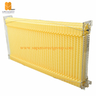 Honey flow factory directly supplies 7 pcs plastic beehive auto flow hive frames