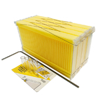 Chinese Wax-Coated Cedar Wood Automatic Self-Flowing Honey Bee Hive 7 Auto Frames Apiculture Beekeeping Equipment Tool