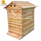 Factory Supply Australian Auto Beehive Honey Bee Box for Sale Automatic Wood Flow Bee Hive