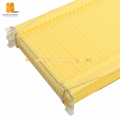 Factory Supply Australian Auto Beehive Honey Bee Box for Sale Automatic Wood Flow Bee Hive