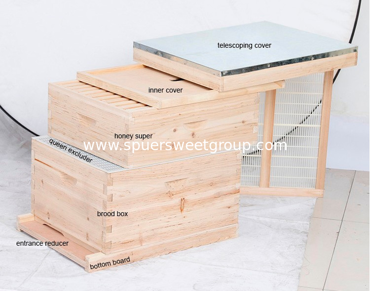 Wooden Langstroth Beehive With 10 Frames or Can Customized Bee Hive Box NEW ZEALAND PINE