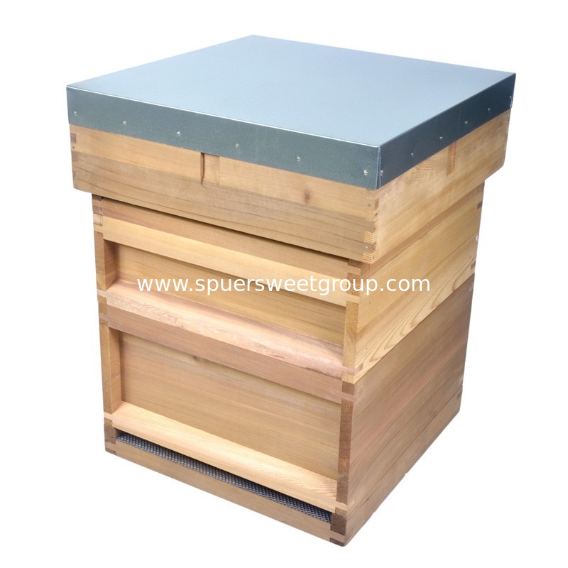 Beekeeping Hive Western Red Cedar National UK National Bee Hive with frames