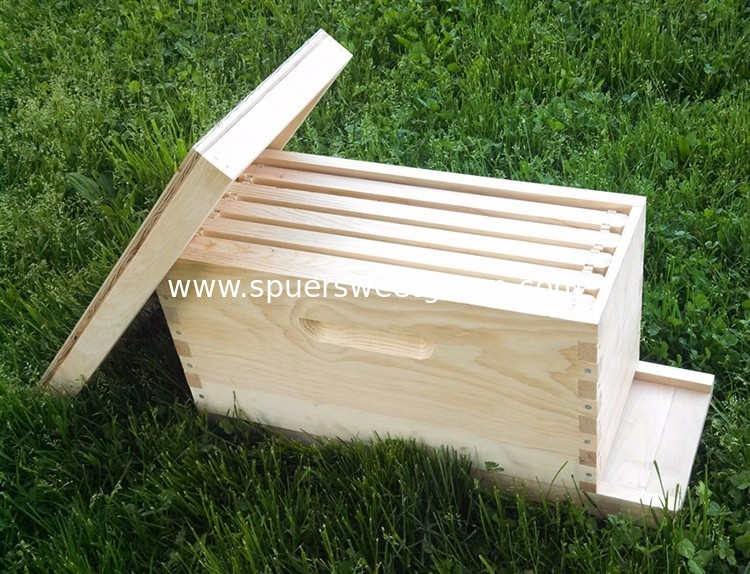 Beekeeper 5 Frames Wooden Bee Nuc Boxes for queen bees