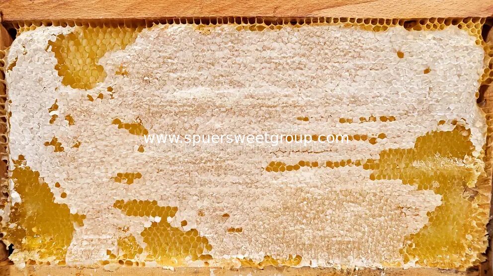Natural Raw Honeycomb Honey Pure Organic Multiflower Bulk Wholesale Edible Honey Comb with Whole Frame 2kg From Wild Cultivation