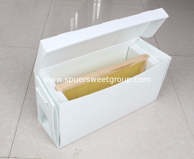 Queen Rearing PP plastic corrugated nuc box for beekeeping