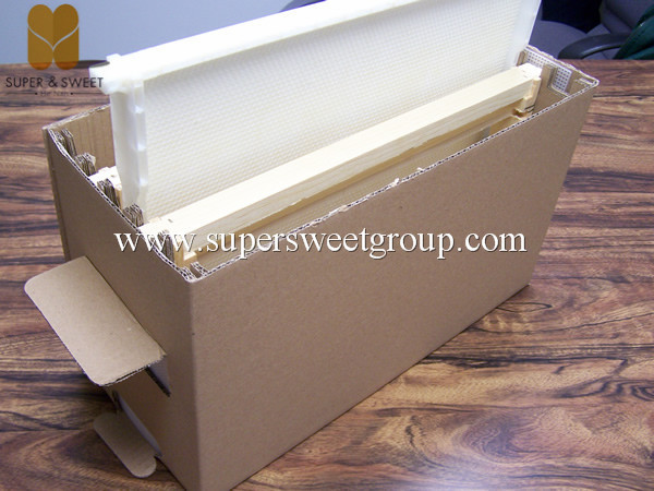 Polypropylene plastic Langstroth Nuc Box Beehive for Beekeeper