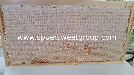 Best Quality Natural Raw Honeycomb Edible Wildflower Honey 100% Pure Bee Farm Halal ISO Certified Bulk 2kg Whole Frame Beehive