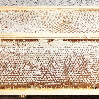 High Quality 100% Pure Natural Raw Unfiltered Honey Honeycomb From Wild Flowers Bottle Packaging 2kg Whole Frame Beehive