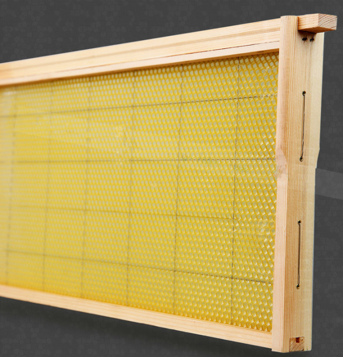 Bee Box Frames Honey Beehive Frames Wholesale
