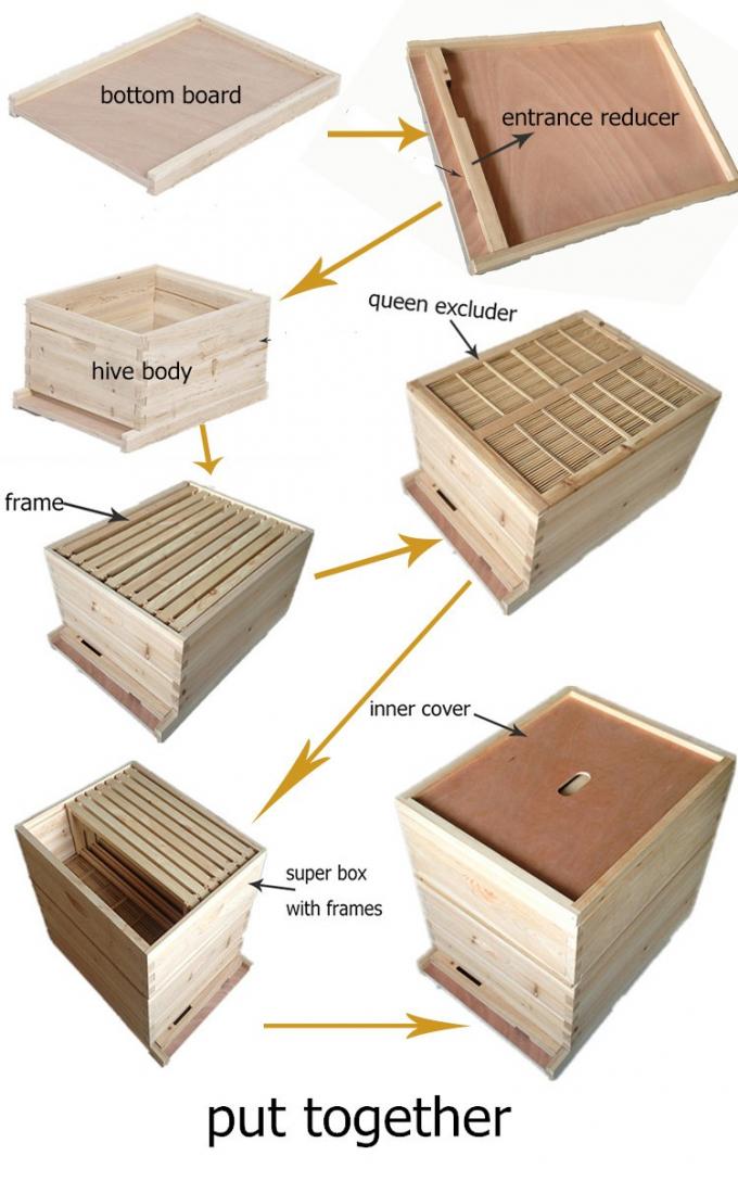 How To Make Bee Hives Boxes