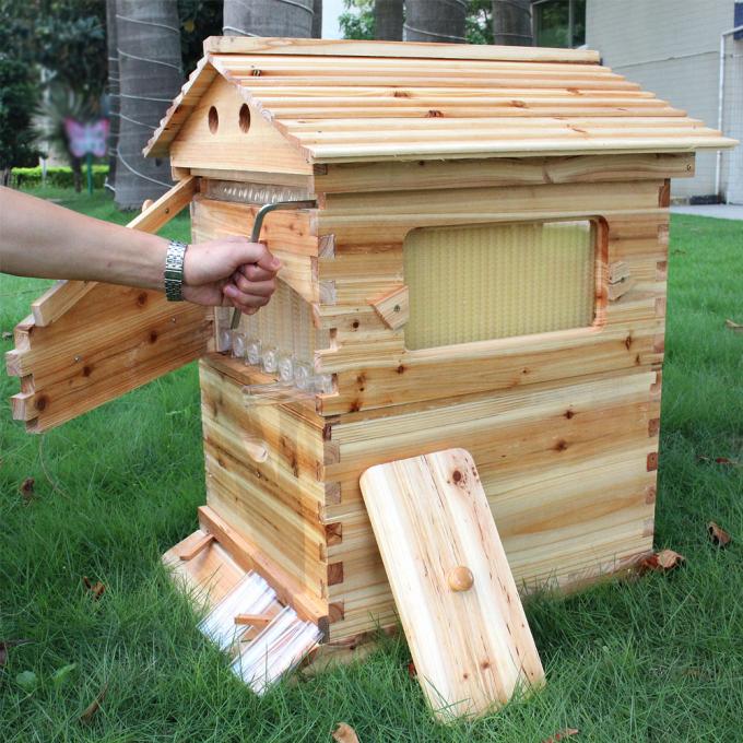 Factory Supply Australian Auto Beehive Honey Bee Box for Sale Automatic
