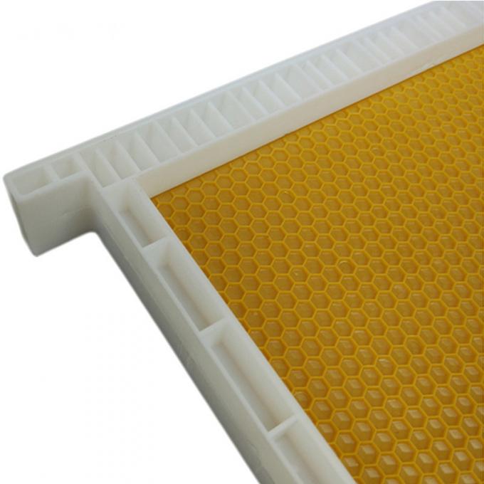 Plastic Frame with Foundation Sheet Langstroth Plastic Bee Hive Frame
